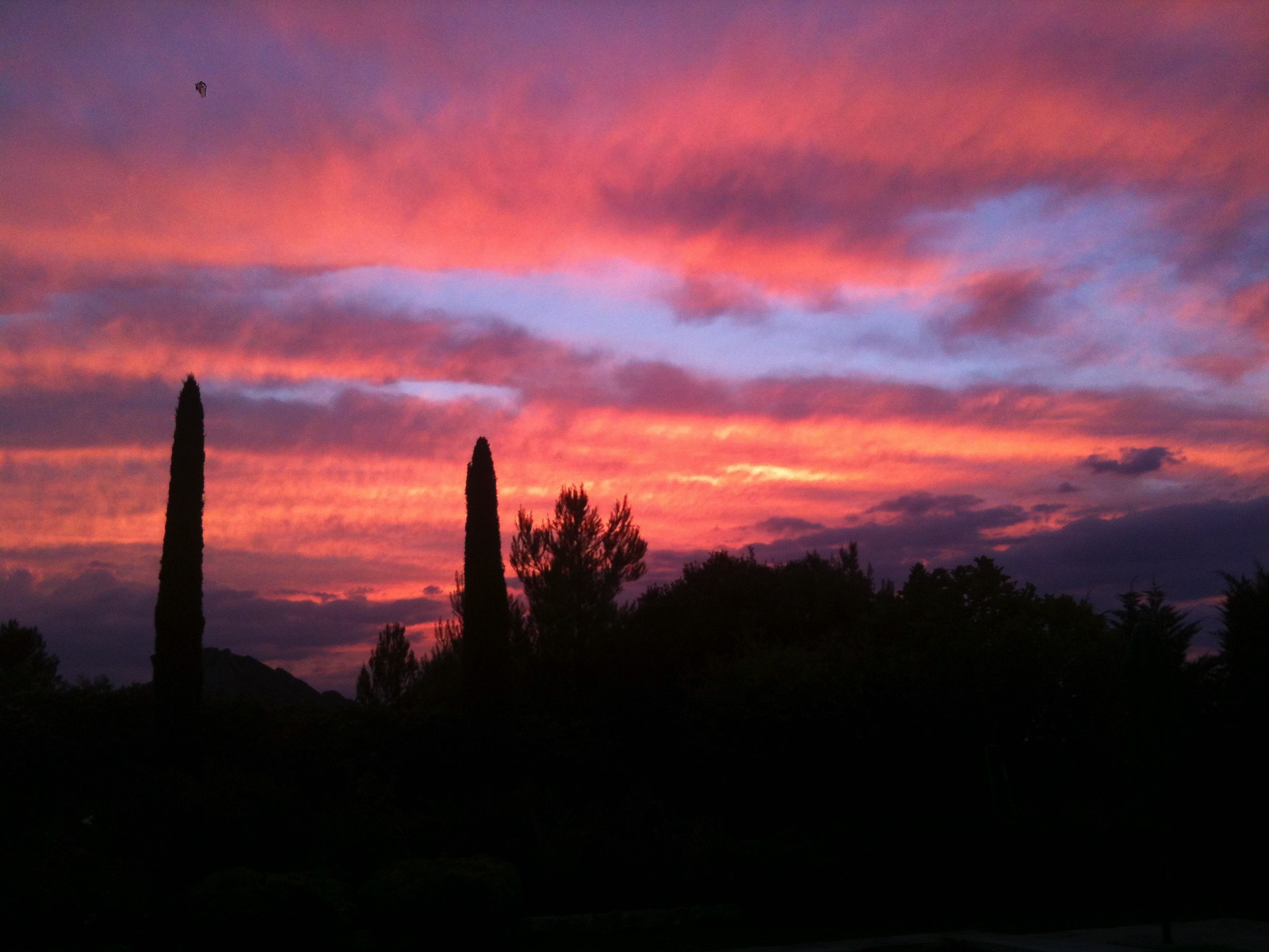 A vibrant sunset with deep pink and orange clouds stretched across the sky, silhouetting cypress trees and foliage.